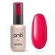 Гел лак PNB 8 мл 009